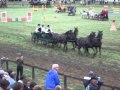 Hortobágyi lovasnapok 2011