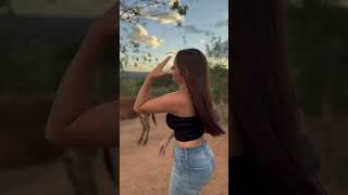Um Jumento Marrom, Está Em Risco De Extinção.