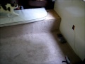 Misc RV Work And Starting My Waste Oil Burner