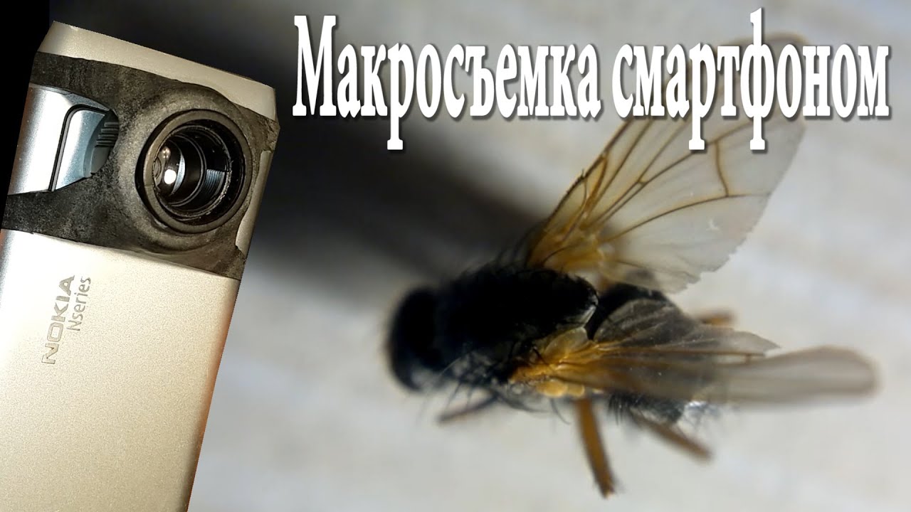Как сделать макроснимок Как сделать макроснимок