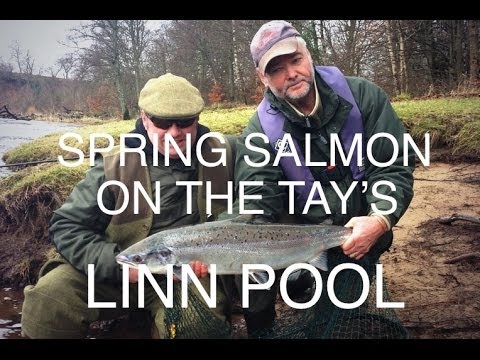 Epic spring salmon fishing on the River Tay in Perthshire -...
