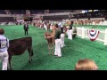 Dairy West Ring - November 10, 2014
