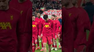 qSveUwTjY3U Video Image