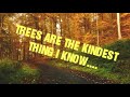 Trees are the kindest thing I know....poem
