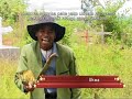 Madosa Sanga_Ukhuwi Luta Ukwa (official music Video)