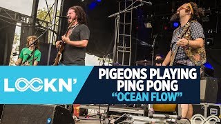 Watch Pigeons Playing Ping Pong Ocean Flows video