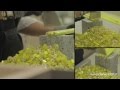 Die Zuckerlwerkstatt: How To Make Candy