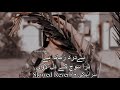 Bedard Zaman Hai Zara Soch Ke Dill Lavin |  | Saraiki Slowed Song | Saraiki Lofi Music