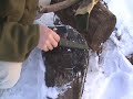 Mora