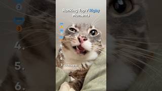 Top 7 Rigby Cat Moments