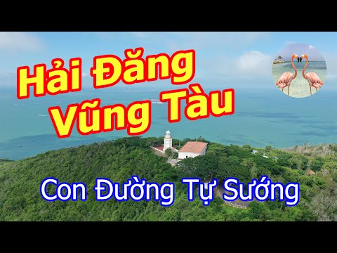 ✈️ Du Lịch Vũng Tàu 💖 Ngọn Hải Đăng Vũng Tàu Con Đường Tự Sướng 📸 Nhiếp Ảnh Du Lịch ✔️