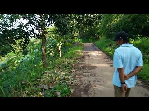 menikmati indahnya alam..pedesaan banaran..nganjuk