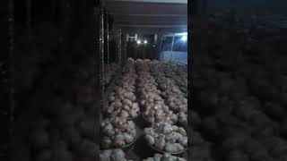 Siyar Nalène Bou Wér Fall Tay Yéslou Thie Barké Yasér Lahom2