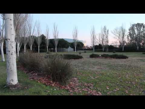 Recorrido Emocional El Prat de Llobregat