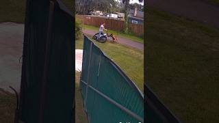 Typical Belgian Malinois Short Video