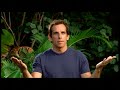 Opening To Bee Movie 2008 Dvd True Hq Opening To Bee Movie 2008 Dvd True Hq