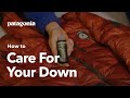 How to Care fo...