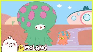 Molang - The aquarium | Full Molang episodes - Cartoon for kids