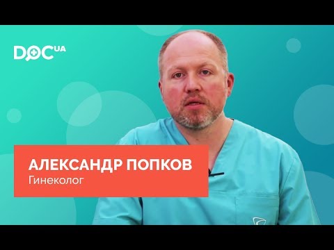 Искусственное вскармливание котят Кошка Кот Котенок Женская консультация, Городская клиническая
