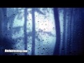 RAIN SOUNDS | Heavy Rainfall White Noise For Deep Sleep | Also Helps You Relax, Focus, Study