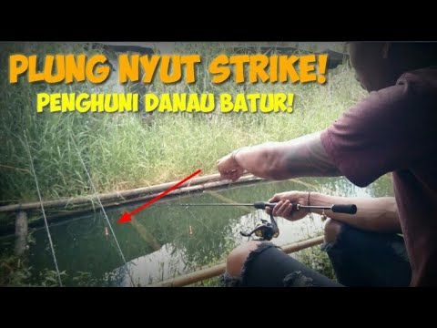 mancing di rumpon danau batur plung nyut strike!