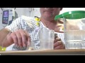 A patients' guide to ileo-anal pouch surgery