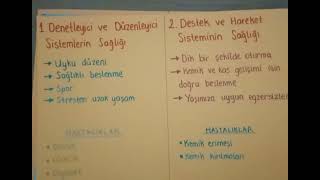 6.Sınıf Vücudumuzdaki Sistemler Ve Sağlığı Konu Özeti