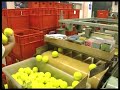 tennis balls
