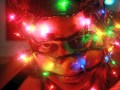 Obviously Christmas by Rico Petroleum & Friends