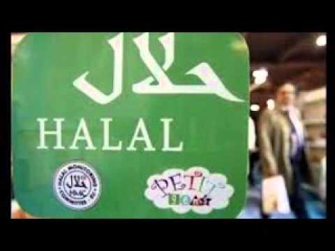 Video travel haji plus dan umroh Video travel haji plus dan umroh
