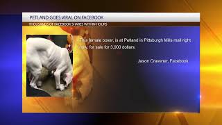Petland in Pittsburgh Mills under social media fire
