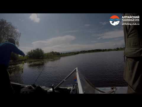 рыбалка на спускник рыбалка на спускник