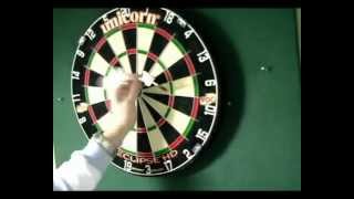 Darts Caddy Portable Dartboard Stand Review