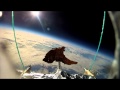 Tandoori Lamb Chop in Space: Full Sequence