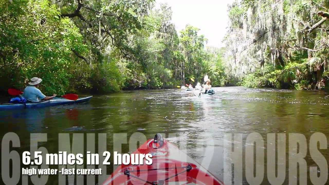 Lithia Springs to Alafia Boat Ramp - YouTube