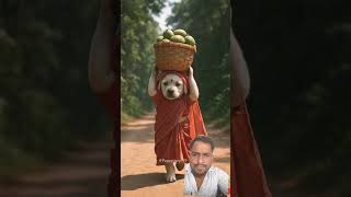 दर पन