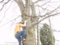 Tree Bouldering