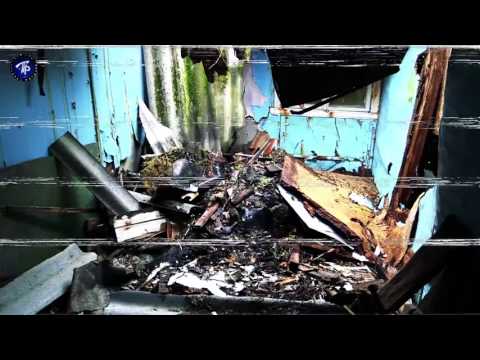 Лучшие детские лагеря ленобласти Лучшие детские лагеря ленобласти