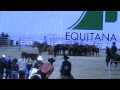 Equitana Cutting Cup, Siegesritt Ute Holm
