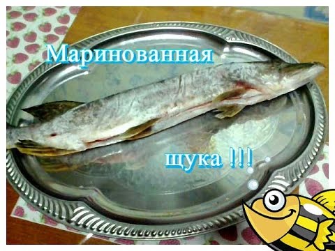 у козы мастит... airservice55.ru