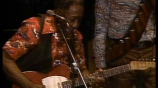Watch Muddy Waters They Call Me Muddy Waters video