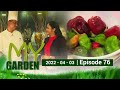 My Garden 03-04-2022
