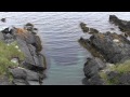 Caplin in Cupids, Newfoundland by the Cupids Legacy Centre part 1