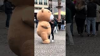 Teddy Bear In Romer