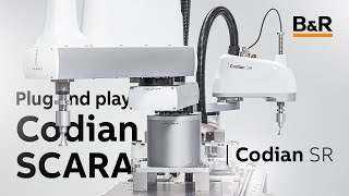 Plug And Play Codian Scara Robot Mechanics
