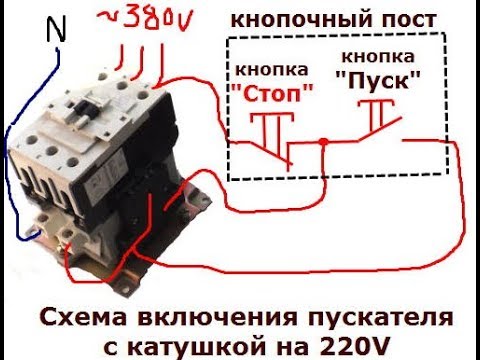 Лучший подарок на рождество гай