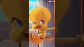Trend Viral Do Piu-Piu