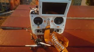 Eachine Qx90 Daylight Fpv Dsmx Rx Flown With Devo 10 With Deviation