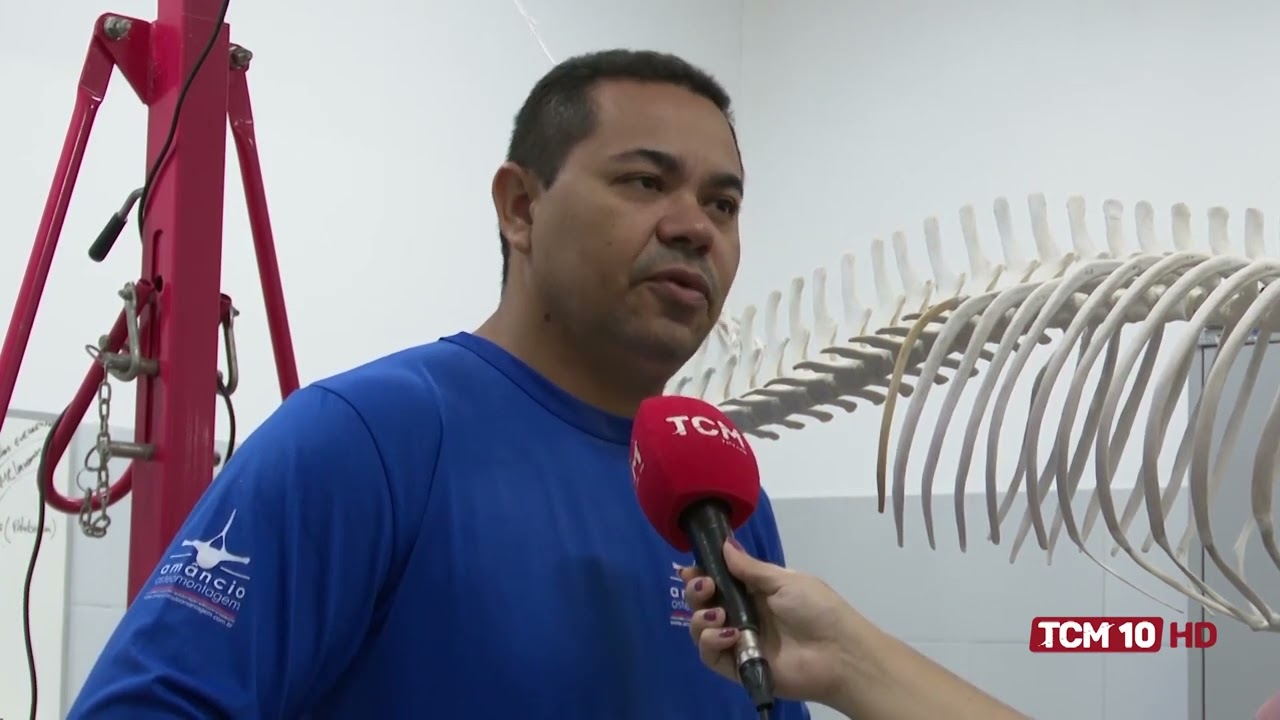 Jornal TCM - Projeto cetáceos realiza oficina de montagem de esqueleto de baleia