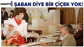 Şabaniye Türk Filmi | Şaban diye bir çiçek yok bizde!